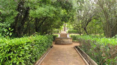 Jardín Botánico de Jerez: A Tropical Oasis of Serenity and Biodiversity!