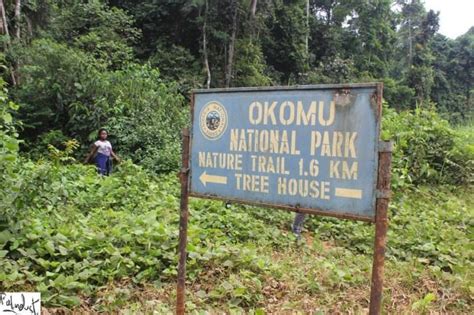 Okomu National Park: Skarby Przyrody i Podwodna Magia!